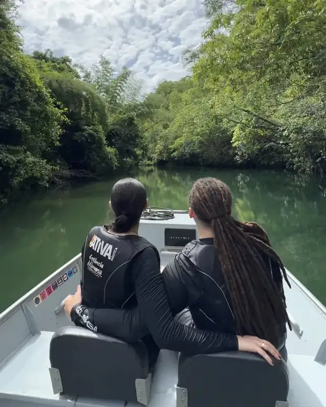 Parceria e experiência 1